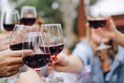 Vinos